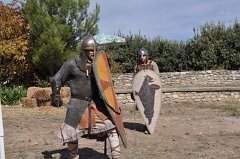 DSC_0212 (2)